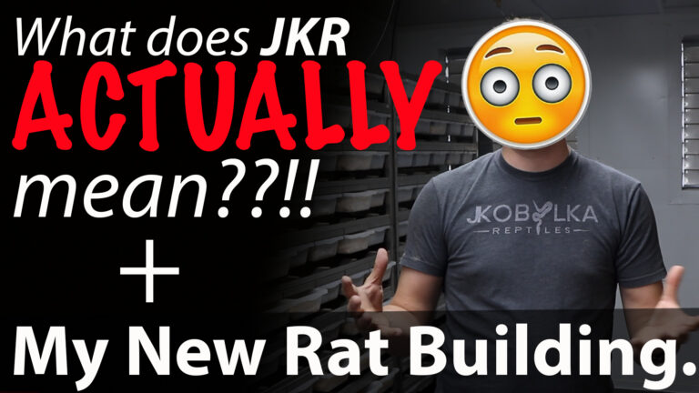 New Rodent Building Tour + The Real Meaning of JKR!!?